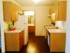 Mountain Boulevard Apartments: 1 Bedroom - Kitchen